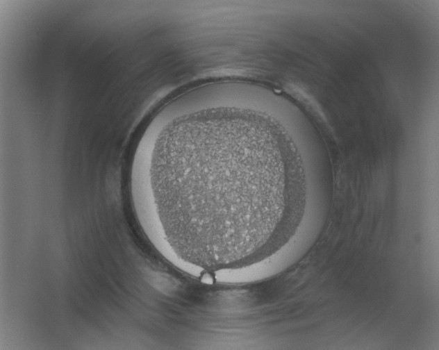 X0000063460108200602031844