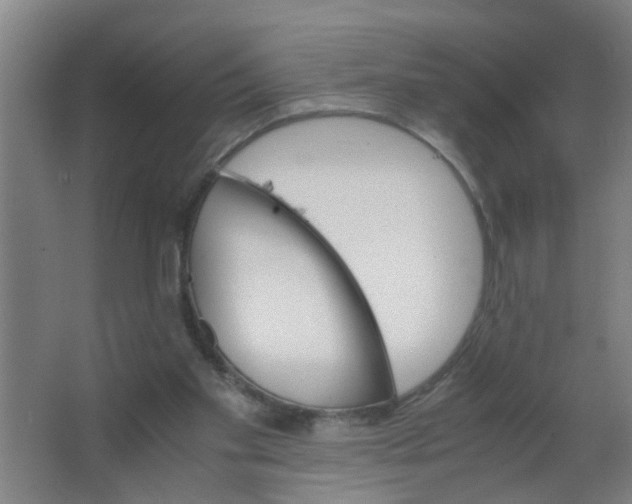 X0000063460109200602031844