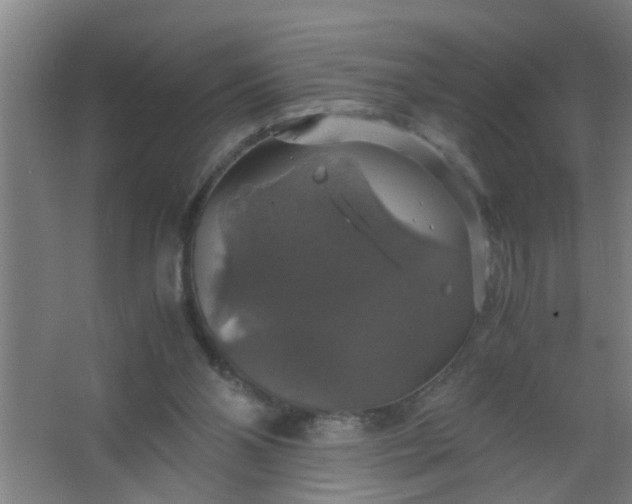 X0000063460110200602031844