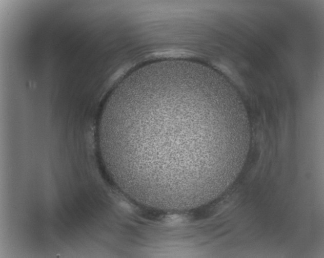 X0000063460111200602031844