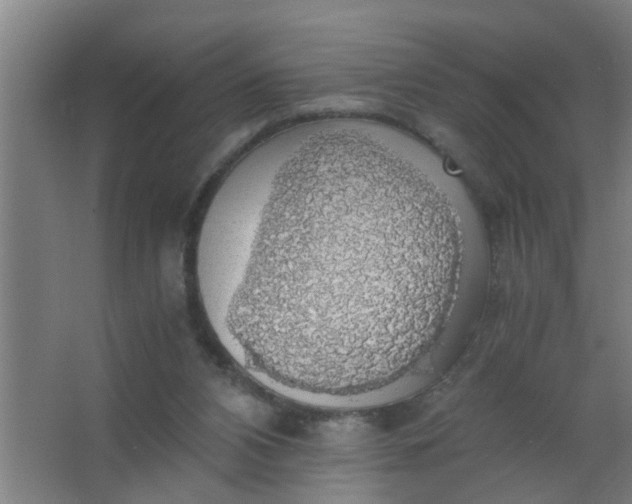 X0000063460112200602031844