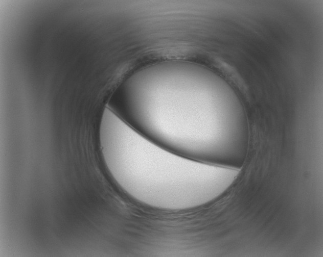 X0000063460113200602031844