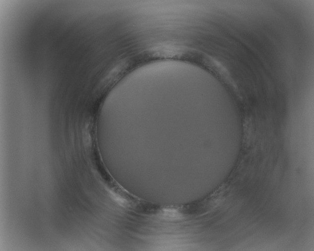 X0000063460114200602031844