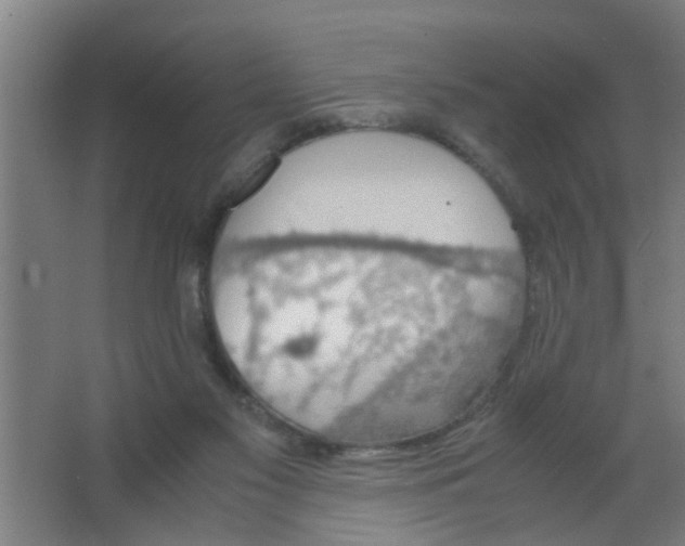 X0000063460117200602031844