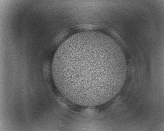 X0000063460119200602031844