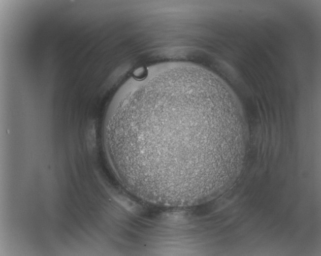 X0000063460120200602031844