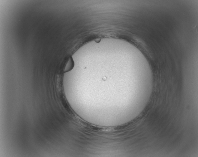 X0000063460121200602031844