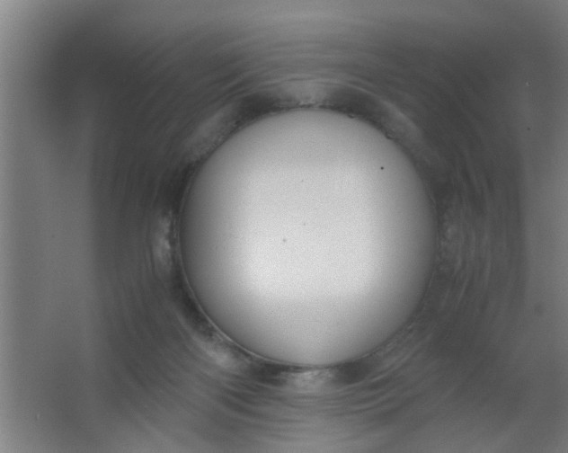 X0000063460122200602031844