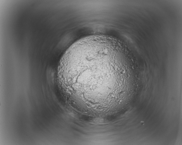 X0000063460123200602031844