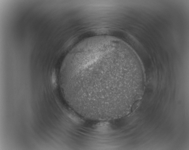 X0000063460124200602031844