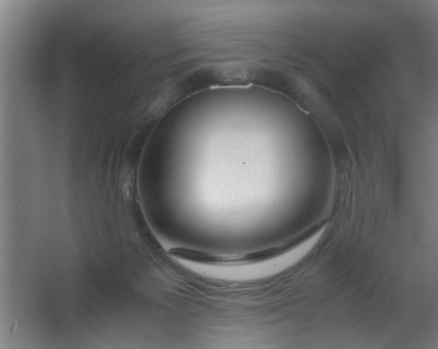 X0000063460125200602031844