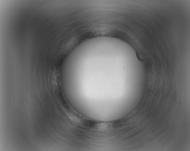 X0000063460126200602031844