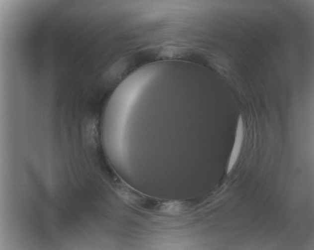 X0000063460127200602031844