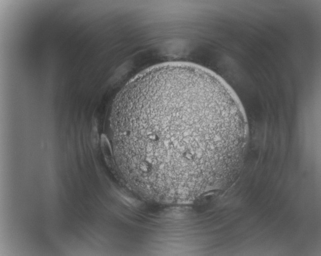 X0000063460128200602031844