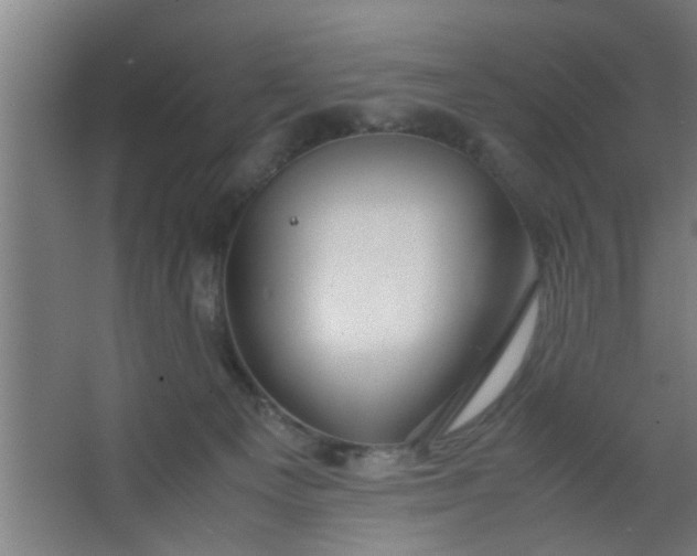 X0000063460129200602031844