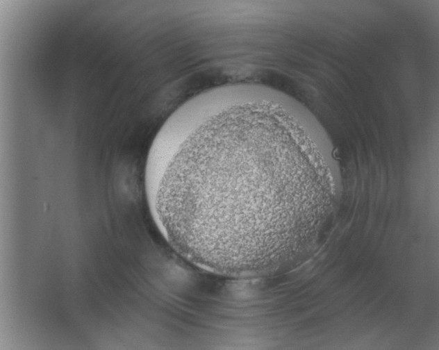 X0000063460136200602031843