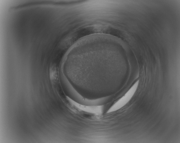 X0000063460137200602031843