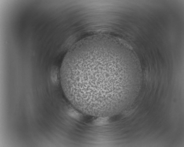 X0000063460138200602031843