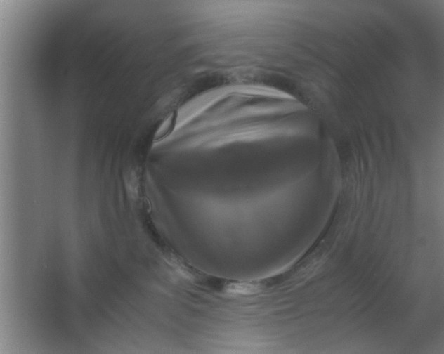 X0000063460139200602031843