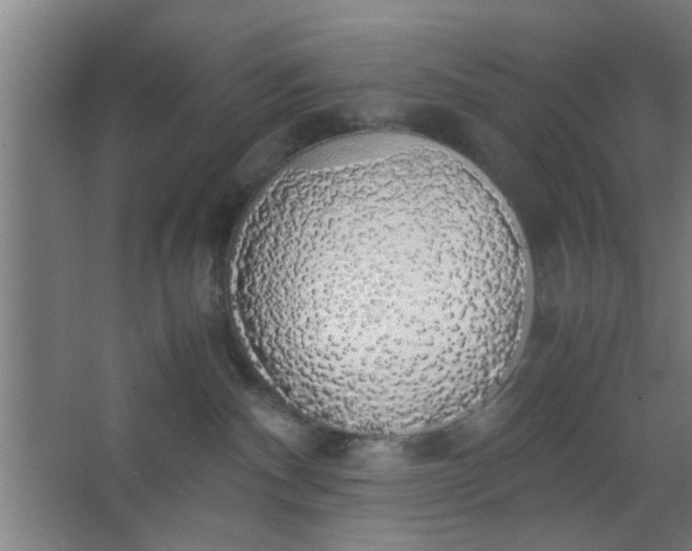 X0000063460140200602031843