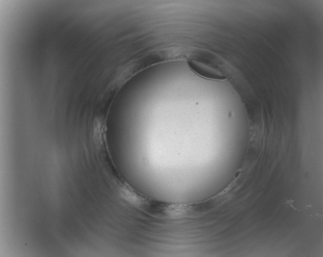 X0000063460142200602031843