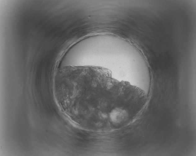 X0000063460145200602031843