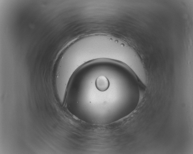 X0000063460146200602031843