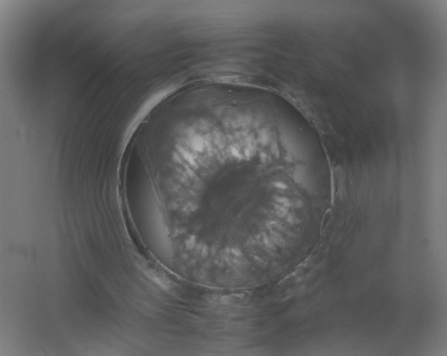 X0000063460147200602031843