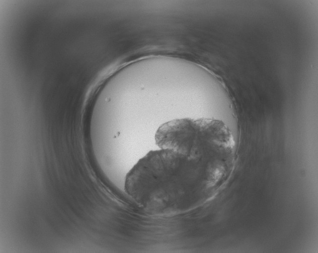 X0000063460149200602031843