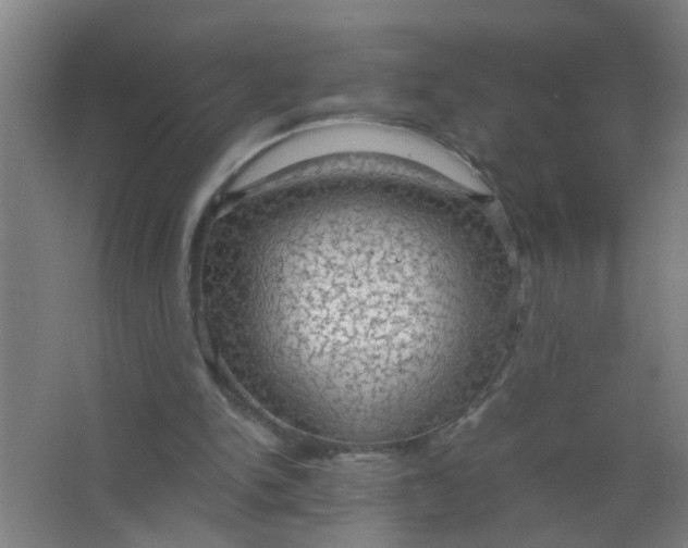 X0000063460150200602031843