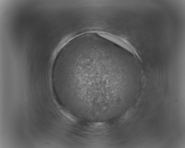 X0000063460151200602031843