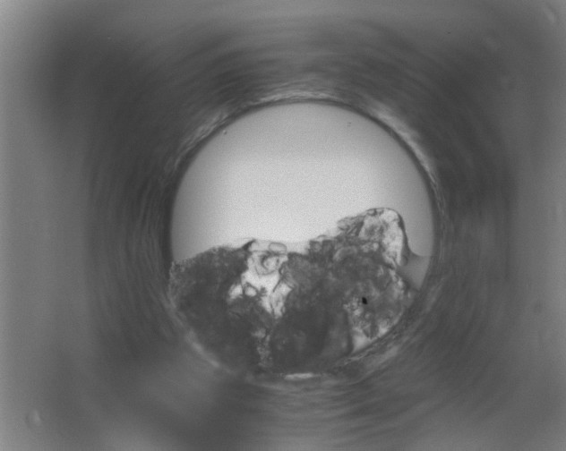 X0000063460153200602031843