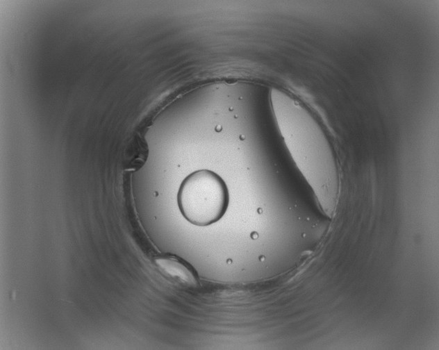 X0000063460154200602031843