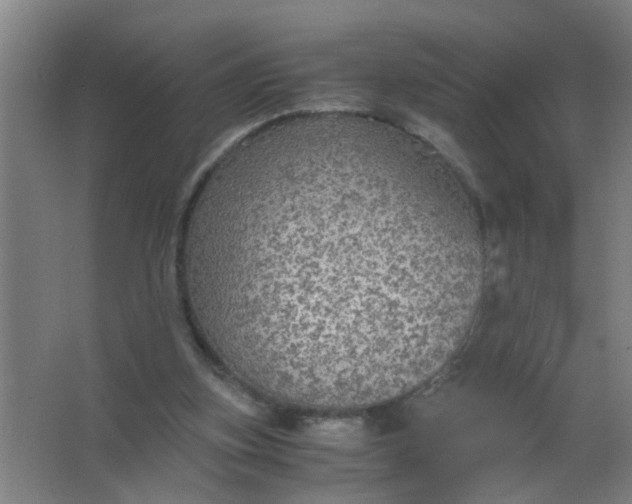 X0000063460155200602031843