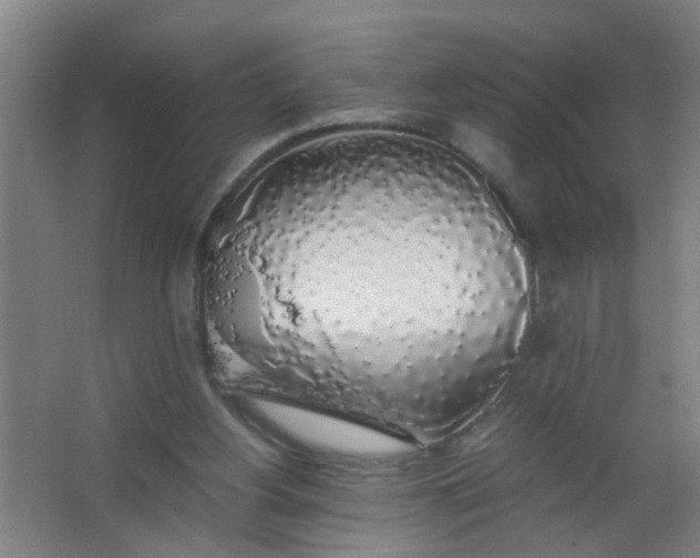 X0000063460156200602031843