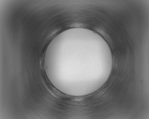 X0000063460157200602031843