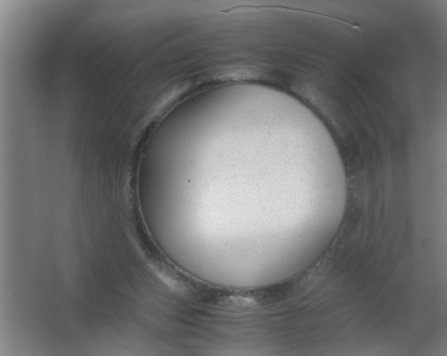 X0000063460159200602031843