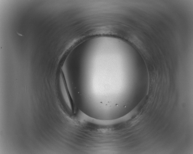 X0000063460160200602031843