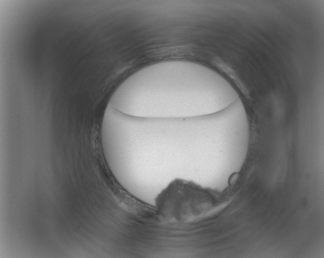 X0000063460161200602031843