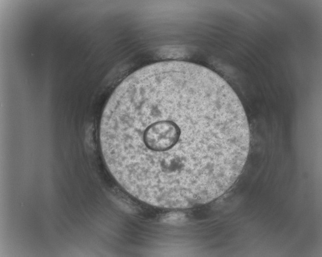 X0000063460162200602031843