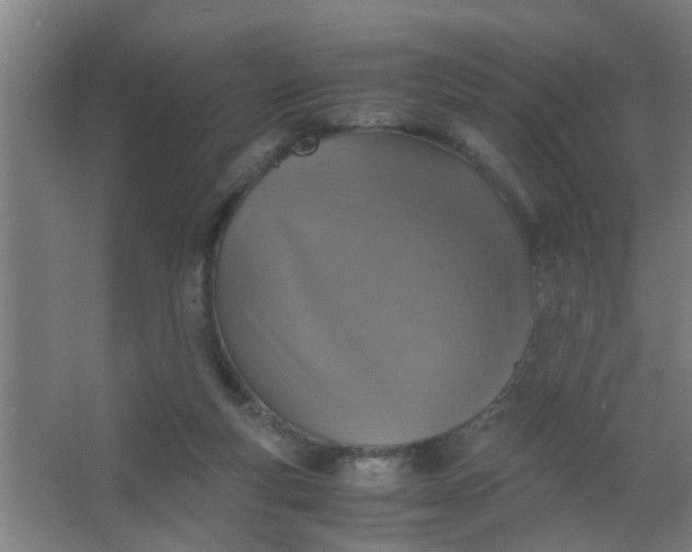 X0000063460163200602031843