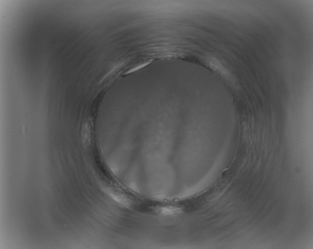 X0000063460165200602031843