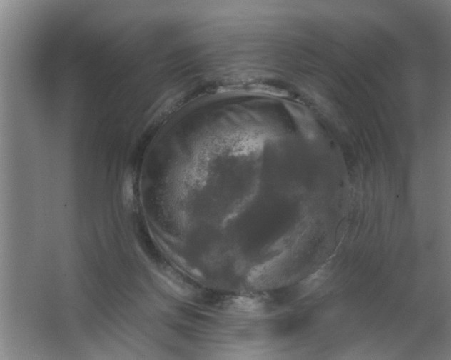 X0000063460166200602031843