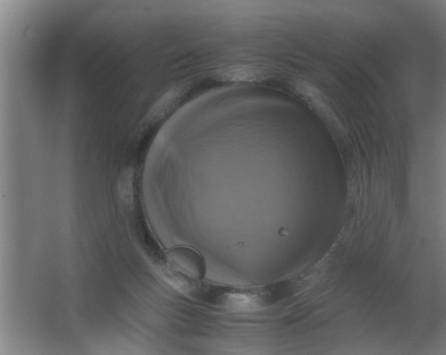 X0000063460167200602031843