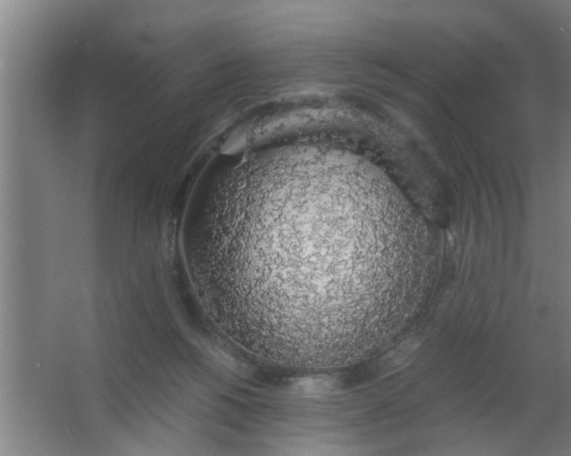 X0000063460168200602031843