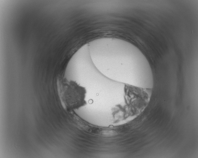 X0000063460169200602031843