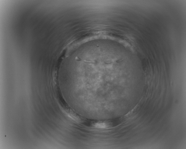 X0000063460171200602031843