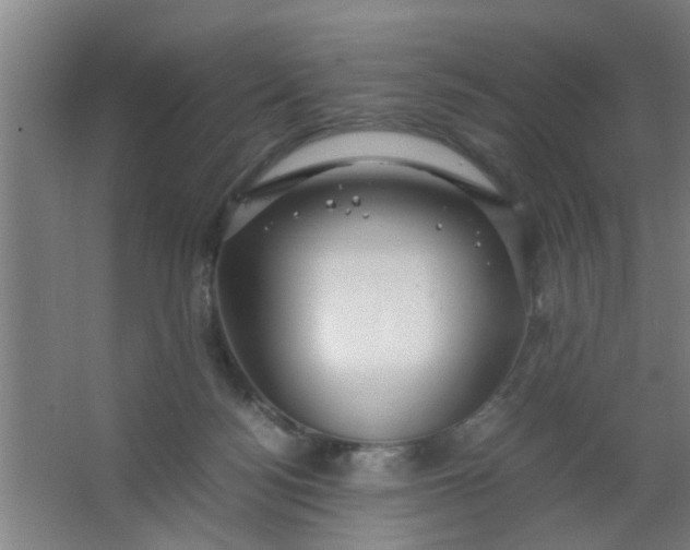 X0000063460172200602031843