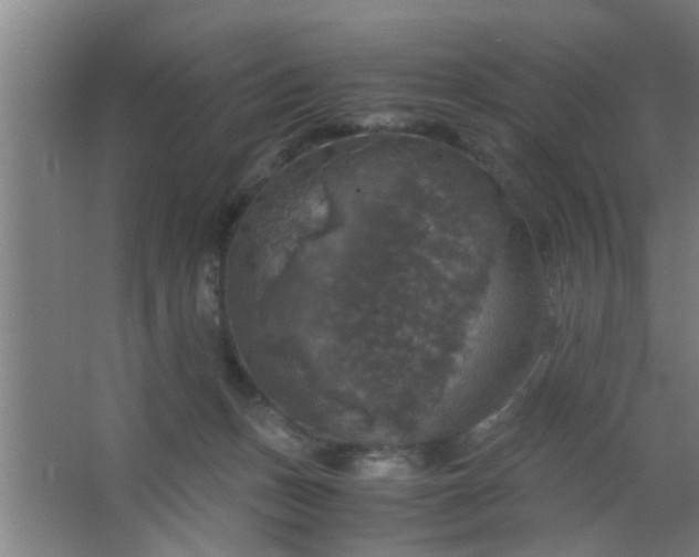 X0000063460175200602031843