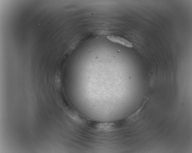 X0000063460179200602031843